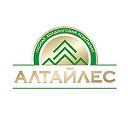 ЛХК "Алтайлес"- Деревянные дома от производителя