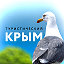 Туристический Крым