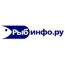 Рыбинфо.ру: рыбная промышленность