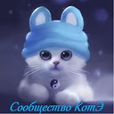 Сообщество КотЭ