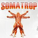 www.somatrop.ru (гормон роста, пептиды, синтол)