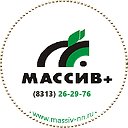 "МАССИВ"