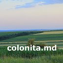 COLONITA