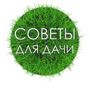 ДАЧА - советы