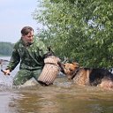 Кинологический центр "АНУБИС"