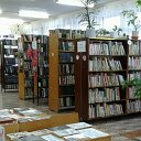 вичевская сельская библиотека