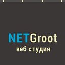 Веб студия "NetGroot" создание, продвижение сайтов