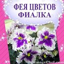 ФЕЯ ЦВЕТОВ - ФИАЛКА