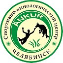 Анкур - дрессировка собак в Челябинске