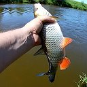 Видео-спиннинг.Рыбалка.