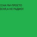 Радио Весна FM