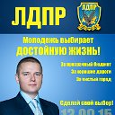 Выборы в Совет депутатов