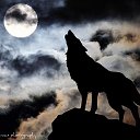 Одинокие волки и волчицы