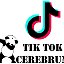 TIK TOK CEREBRUM