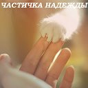 "Частичка надежды" - помощь животным Мичуринска