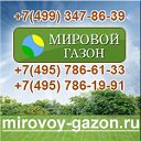 Мировой Газон