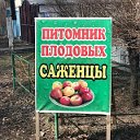 Талдыкорган Саженцы Яблоки