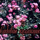 🌸Садовая коллекция🌸