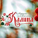 Народный ансамбль песни КАЛИНА