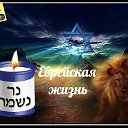 ✡ Еврейская жизнь! ✡