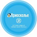 Сетевое издание «Приосколье 31»