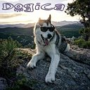 DOGICA - Энциклопедия собак, щенков и клыков.