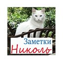 «Заметки Николь»