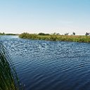 село Зелёный гай Акмолинская область