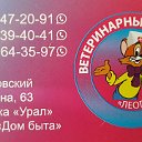 СВЕТОВЕТ-ВЕТКАБИНЕТ!!!