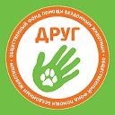 Фонд помощи бездомным животным Друг г. Владивосток