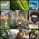 Все животные мира