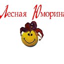 "Командирка" подготовка слета "Лесная Юморина 2012