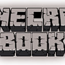 minecraft book