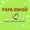 Пора домой. Помощь бездомным животным.