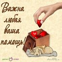 Волонтеры Новосибирска