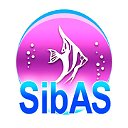 SibAS - аквариумные рыбки Красноярска