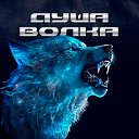 🐺ДУША ВОЛКА🐺