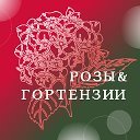 Розы&Гортензии. Питомник растений. Иваново