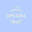 Учебная студия "ОРЕОЛА" КУРСЫ в г КАШИРА