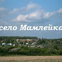 МАМЛЕЙКА