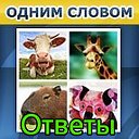 Игра "Одним словом" ответы