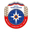 Институт развития МЧС России