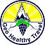 GeoHealthyTravel