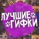 ЛУЧШИЕ ГИФКИ - GIF Живые картинки ГИФ