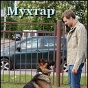 мухтар новый след