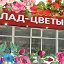 Склад-цветы.рф