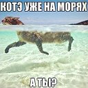 Любители отдыха и жизни!!!