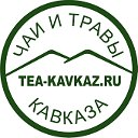 Чаи и травы Кавказа