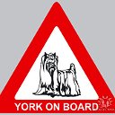 York on board!