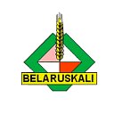Беларуськалий - сердце Солигорска